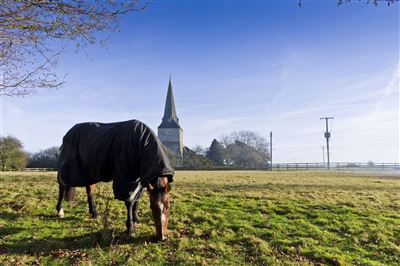 St. Mary´s Church Sevington
